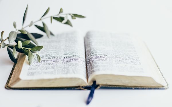 Open Bible with leaves